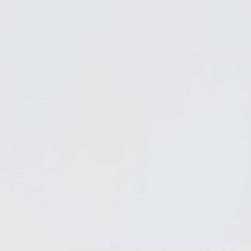 Portemanteau SANDNES blanc 45x40x159,5 cm bois massif pin