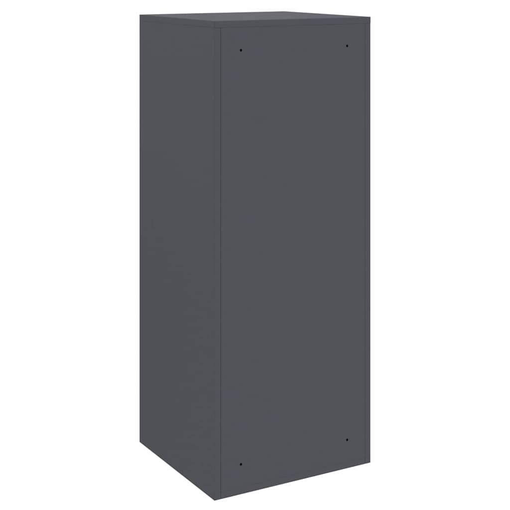 Boîte de dépôt de colis Anthracite 41 x 38 x 103 cm Acier