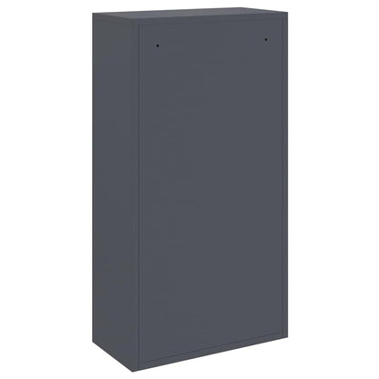 Boîte de dépôt de colis Anthracite 44 x 22 x 82 cm Acier