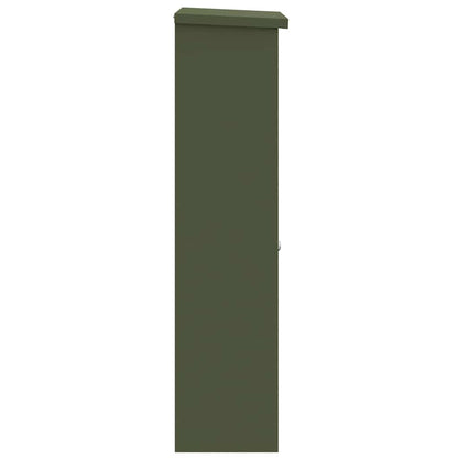 Boîte de dépôt de colis Vert olive 44.5 x 29 x 110.5 cm Acier