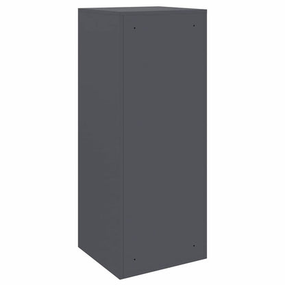 Boîte de dépôt de colis Anthracite 41 x 38 x 103 cm Acier
